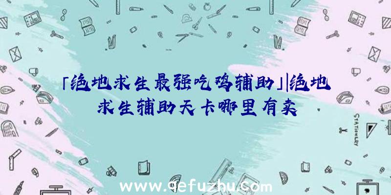 「绝地求生最强吃鸡辅助」|绝地求生辅助天卡哪里有卖